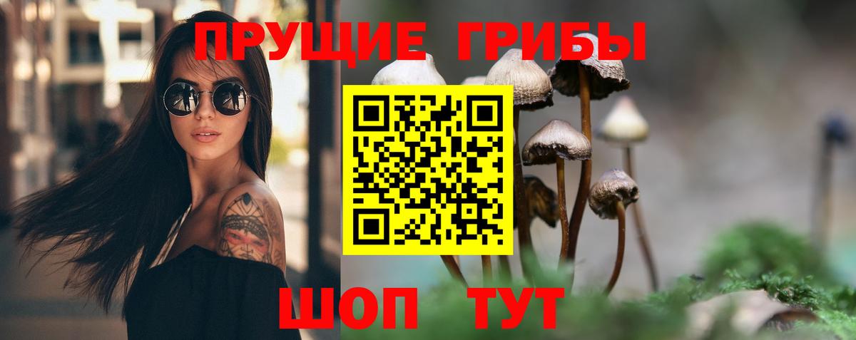 Галлюциногенные грибы Magic Shrooms  Галлюциногенные грибы ЛСД  Вход с VPN  хочу   Красноярск 